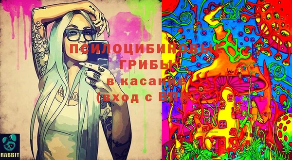 гашик Армянск