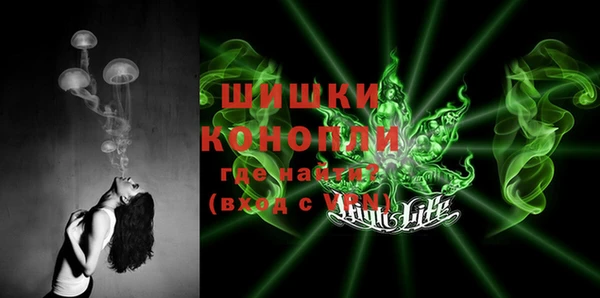 прущие крисы Аркадак