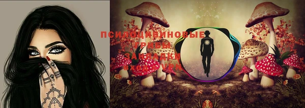 прущие крисы Аркадак